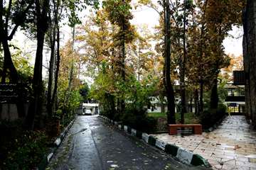 پاییز در دانشگاه علوم بهزیستی و توانبخشی